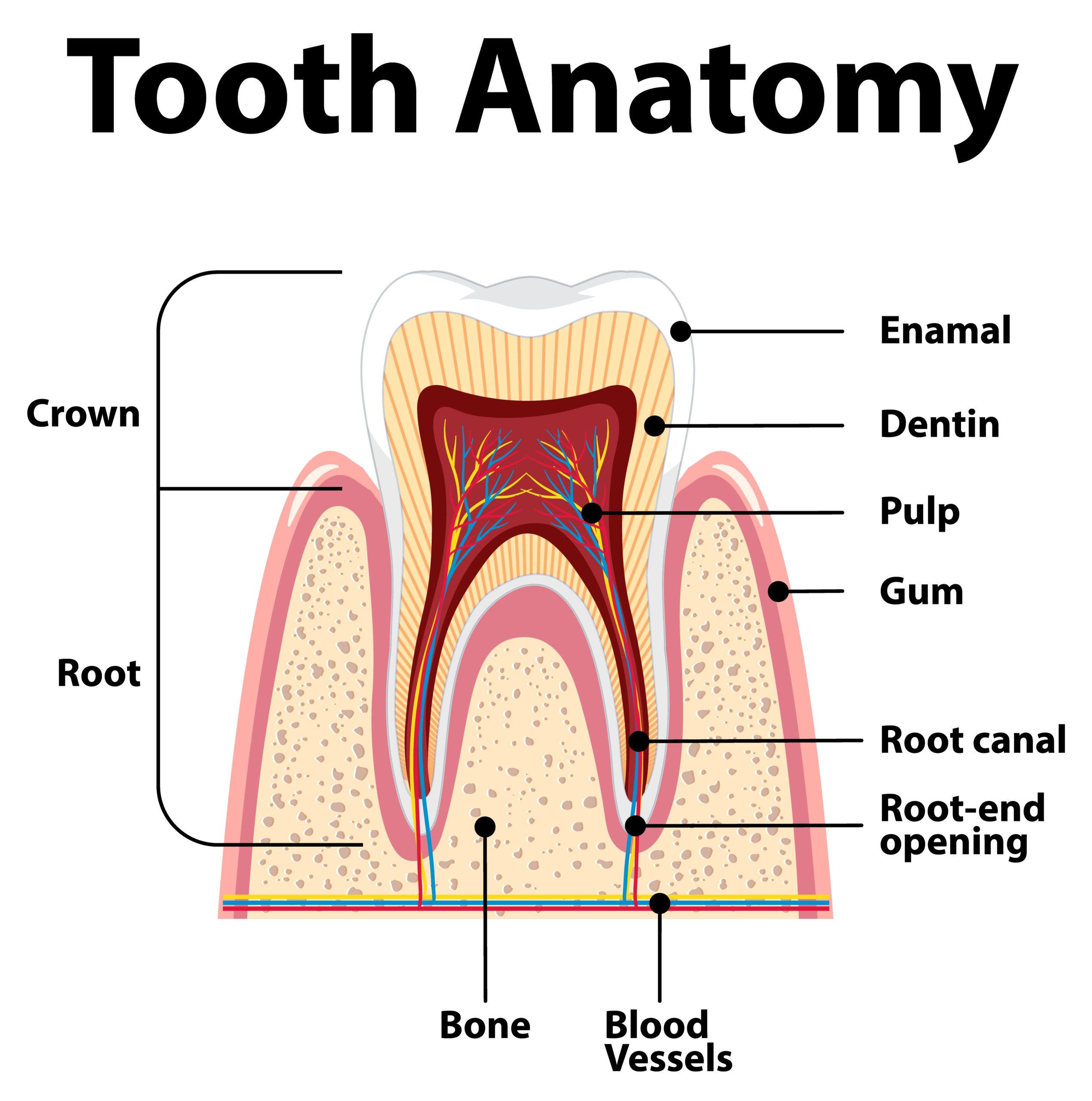 Root Canal Treatment